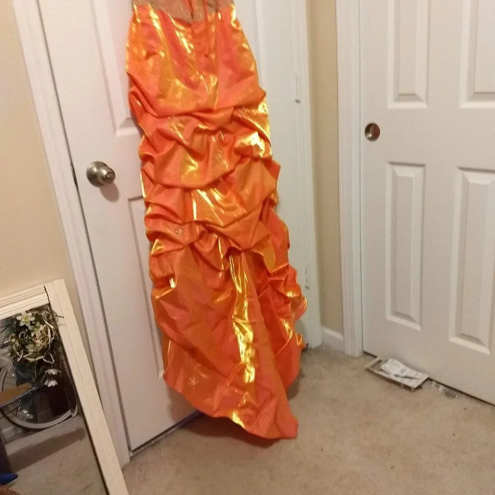 Prom/Formal Gown - Picture 6 of 8